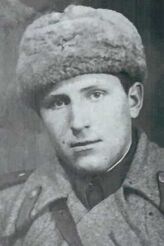 Стёпин Николай Яковлевич