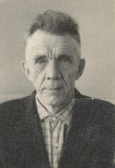 Полянский  Михаил Андреевич